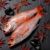 のど黒 鮮魚（ノドグロ、のど黒、アカムツ）