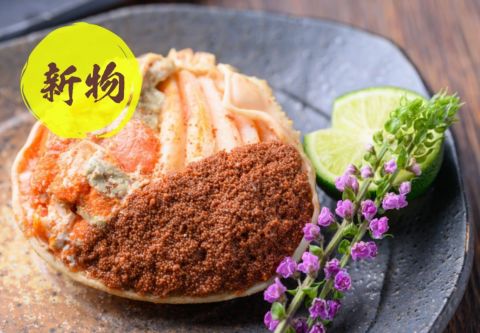 【新物】【新物】セイコガニ 蟹の宝船