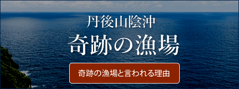 奇跡の漁場と言われる理由