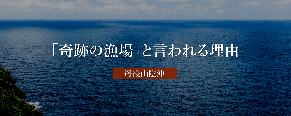 奇跡の漁場と言われる理由