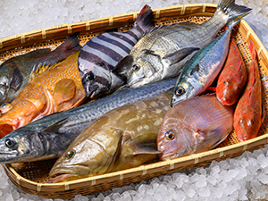 天然鮮魚 海産物の詰合わせ