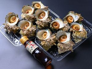 サカエ一号 1.2kg入り × 4袋セット IMG_691dbf48a9807.jpg