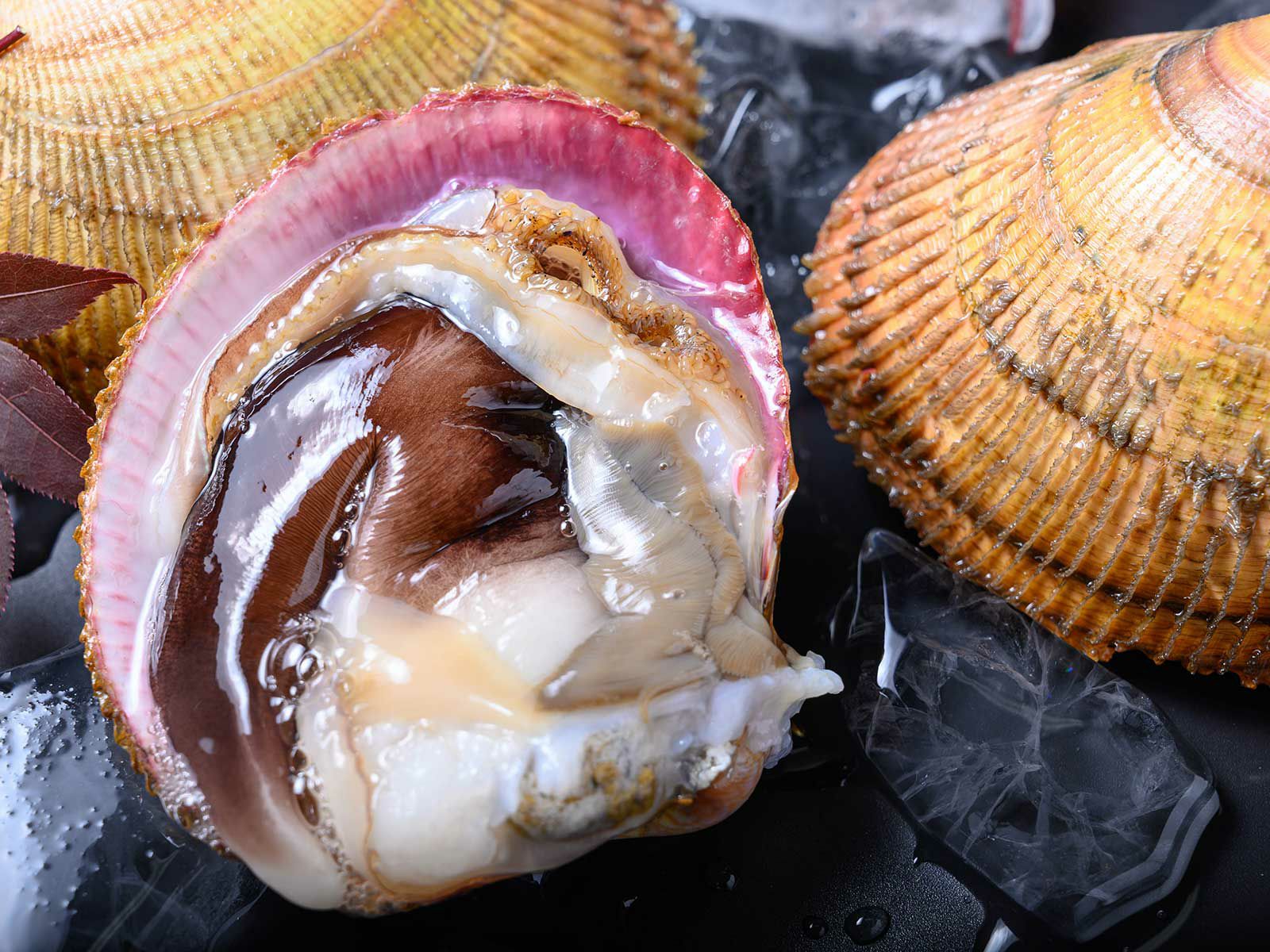 000000003793-01-s.jpg?t=