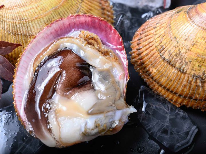 丹後とり貝 活きたまま殻付き 特大サイズ(170~189g) 1個 丹後とり貝 活きたまま殻付き 特大サイズ(170~189g) 1個
