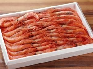 天然甘海老（あまえび） 中サイズ 約40匹入り 1セット | 京都丹後
