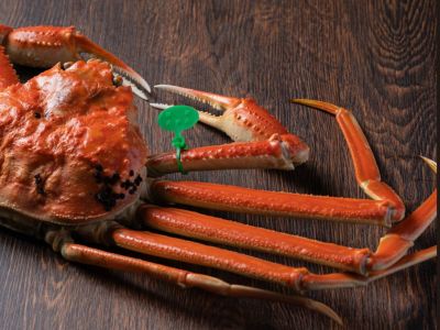 京丹後産限定 大善ガニ間人ガニ 茹で 特撰 900g級 1匹 | 京都丹後