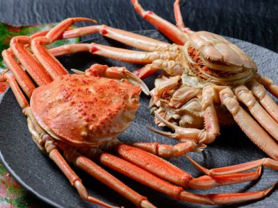 さいほくたんのかにやセコガニ 楽天市場】【境港厳選】冷凍浜茹でセコガニ 大中6〜7杯